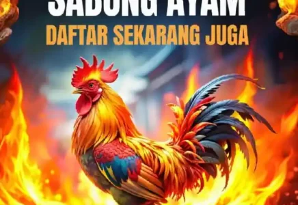 info game sabung ayam