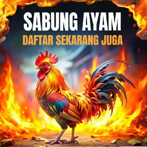 info game sabung ayam